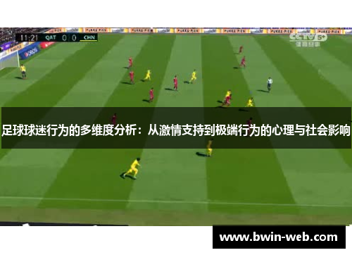 足球球迷行为的多维度分析：从激情支持到极端行为的心理与社会影响