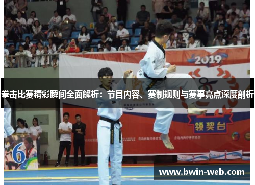 拳击比赛精彩瞬间全面解析：节目内容、赛制规则与赛事亮点深度剖析
