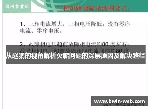从赵鹏的视角解析欠薪问题的深层原因及解决路径