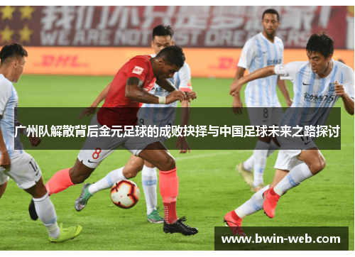 广州队解散背后金元足球的成败抉择与中国足球未来之路探讨