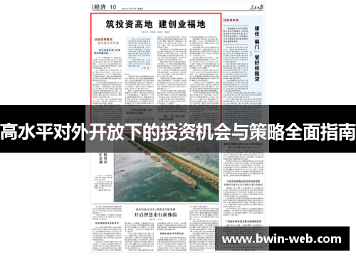 高水平对外开放下的投资机会与策略全面指南